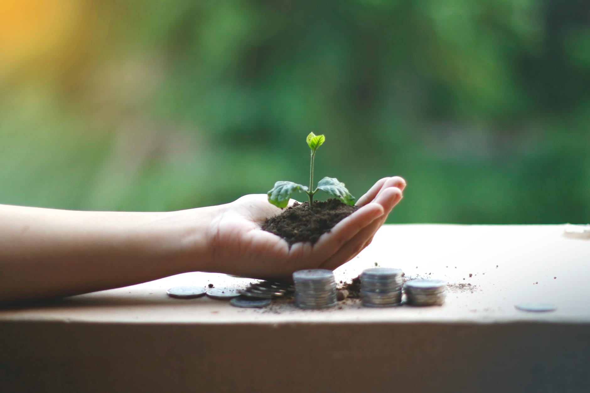 intuitive empath and personal growth